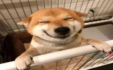 乐观的我作文300字7篇