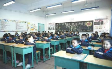 小学猫两课时教案6篇