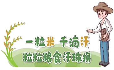 粮食节约活动总结范文8篇