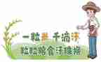 粮食节约活动总结范文8篇