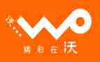 2024年联通客服工作总结7篇