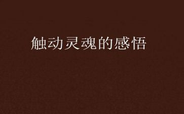 爱教育的灵魂演讲稿7篇