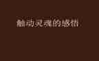 爱教育的灵魂演讲稿7篇