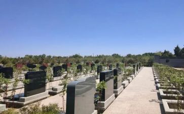 清明节去烈士陵园扫墓心得体会8篇