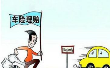 保险理赔终工作总结8篇