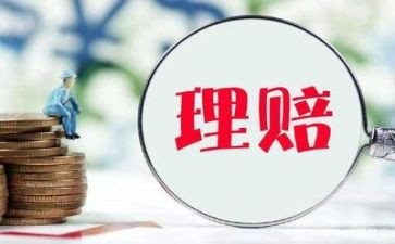 保险理赔终工作总结优秀7篇