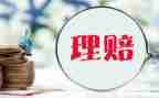 保险理赔终工作总结优秀7篇