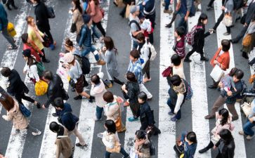 流动的画教案5篇