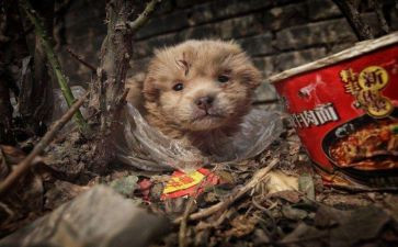 流浪地球观后感模板6篇