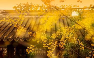 公司物流年终总结优秀5篇