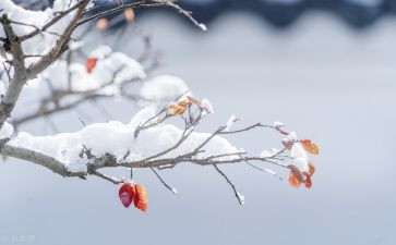 公司物流年终总结精选6篇