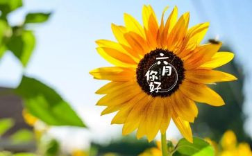 六月工作计划幼儿园5篇