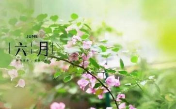 六月份的工作总结范文5篇