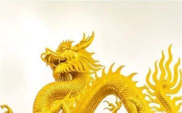 关于龙的调查报告作文5篇