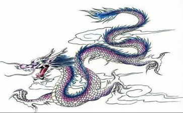 龙说读后感800字优质7篇