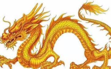 好龙的读后感5篇
