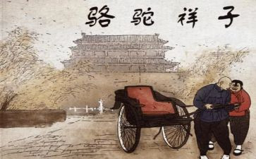 读骆驼祥子心得体会模板6篇