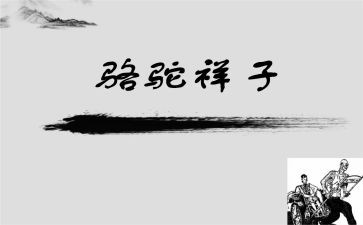 骆驼祥子读后感的心得体会8篇