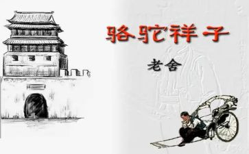骆驼300祥子心得体会7篇