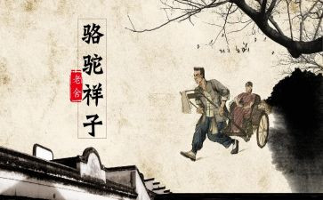 骆驼详子心得体会优质6篇