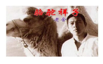 骆驼300祥子心得体会推荐5篇