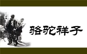 骆驼祥子微心得体会优秀8篇