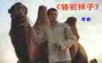 骆驼祥子读后感800字范文6篇