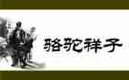 骆驼祥子微心得体会优秀8篇