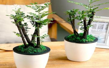 绿化养护员工年终总结6篇
