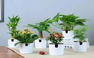 绿野读后感模板8篇