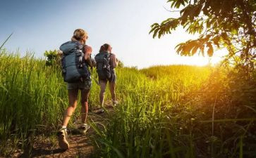 大班旅行去教案参考6篇