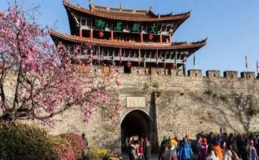 旅游日活动方案推荐7篇
