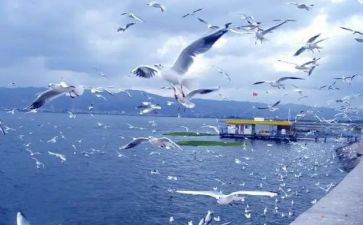 旅游科个人工作计划8篇