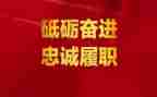 护士履职个人总结优秀8篇