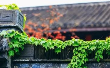 绘本慢阅读工作计划7篇