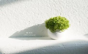 快生活和慢生活演讲稿7篇