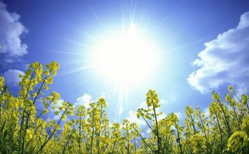 成长奋斗类中考满分作文8篇