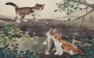 猫的心愿作文推荐6篇