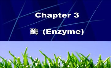 关于酶的心得体会最新7篇