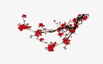 赏梅花作文300字8篇