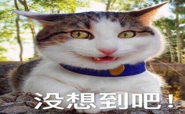 我没想到,真没想到作文优质6篇