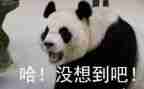 我没想到,真没想到作文最新8篇