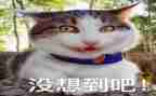 我没想到,真没想到作文优质6篇