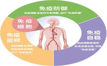 免疫组工作总结精选8篇