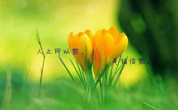 读名人伟心得体会通用8篇