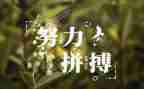 名人传的,读后感5篇
