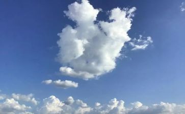 明天的我,作文5篇