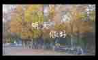 明天的我作文500字5篇