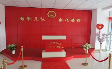民政局个人工作总结5篇