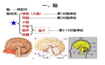 脑外科护士年终述职报告6篇